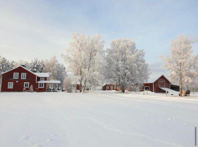 Hus I Ljuset Villa Näsåker Exteriör bild