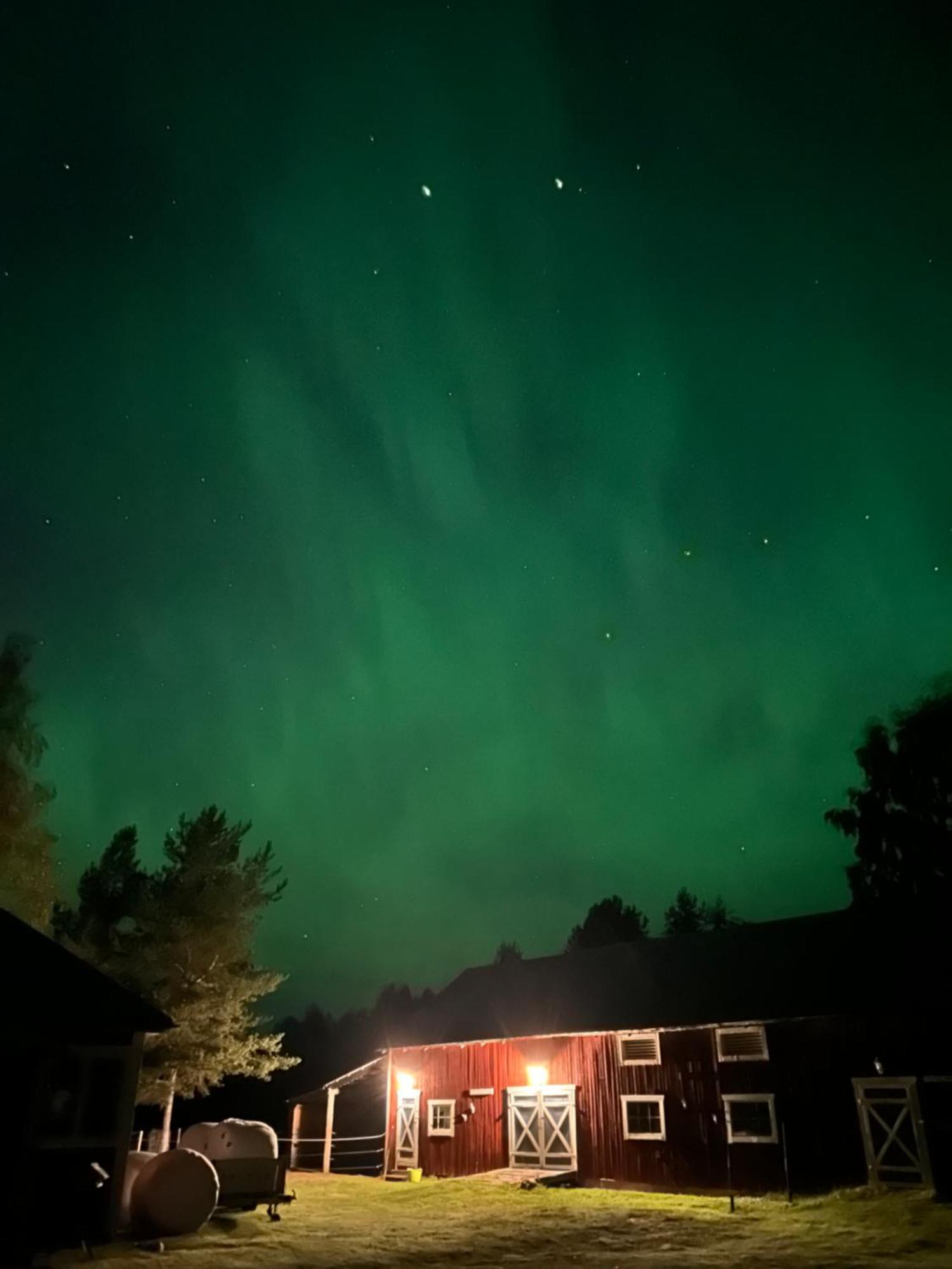 Hus I Ljuset Villa Näsåker Exteriör bild